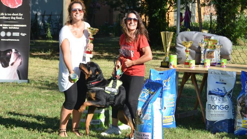 Giornata di festa con piccoli e grandi cani in passerella