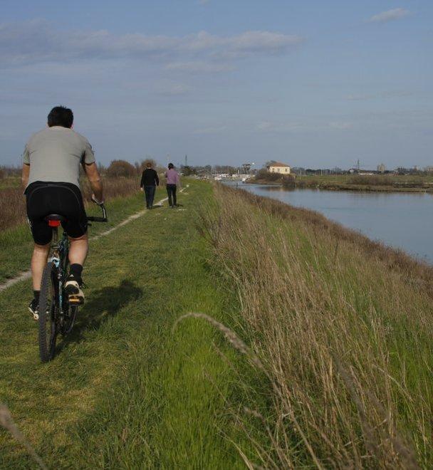 Verso un Parco unico del Delta 