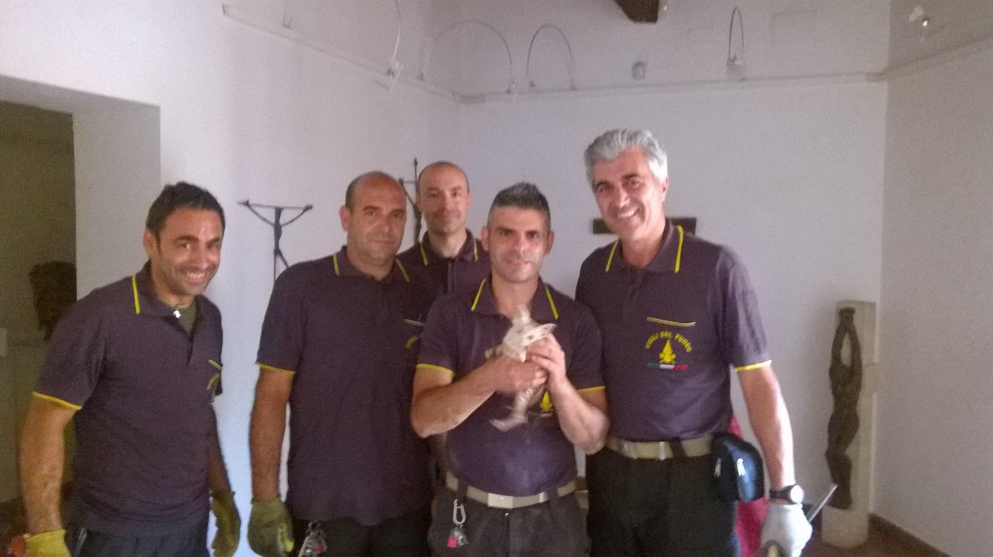 Sinnai, gattino incastrato in un tubo: salvato dai vigili del fuoco 