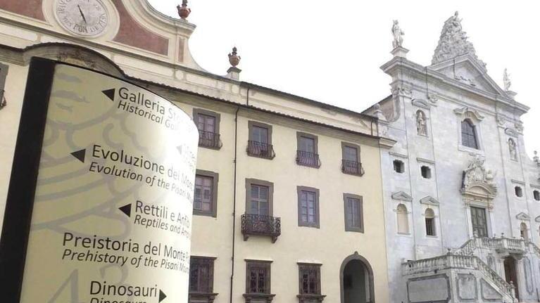 Un’estate al museo tra ghepardi e leoni