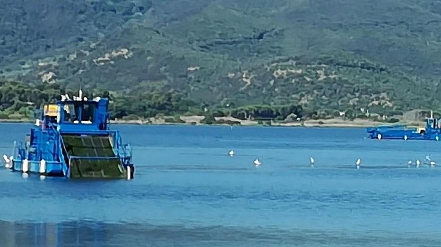 Oggi in laguna arriva la terza imbarcazione