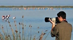 Parco del Delta  Può arrivare un commissario