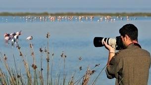 Parco del Delta Può arrivare un commissario
