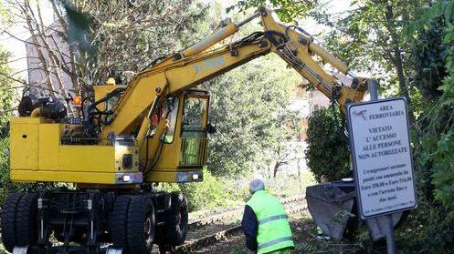 «Manutenzione del verde, appalti dubbi»