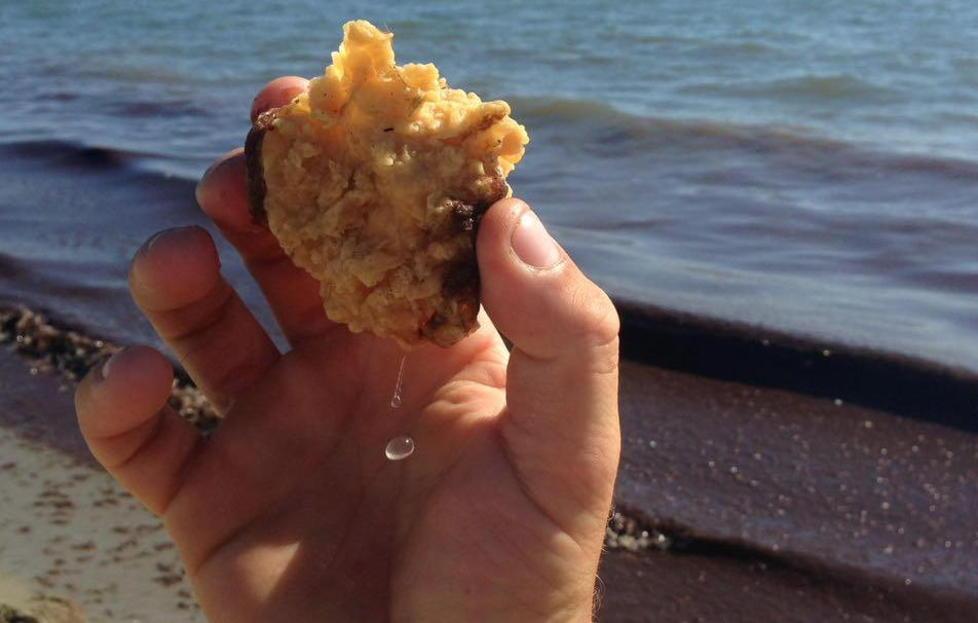 Le spugne gialle sulla riva del mare sono di materiale sintetico  