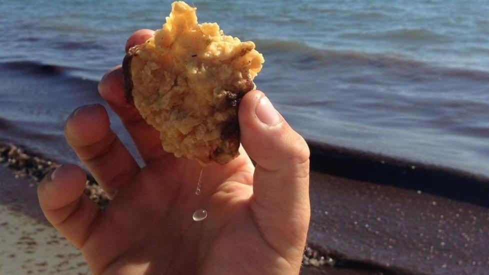 Le spugne gialle sulla riva del mare sono di materiale sintetico