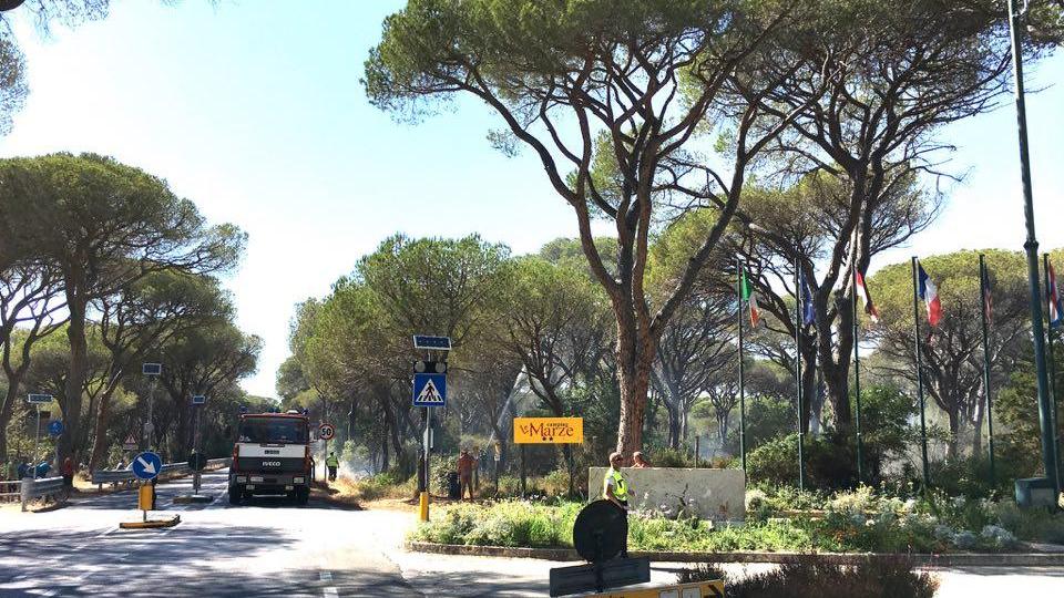 L'incendio scoppiato accanto al campeggio (foto Bf)
