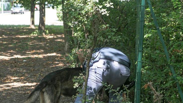 Modena. Blitz col cane antidroga al XXII Aprile