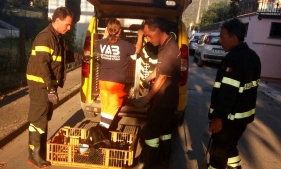 Crollo simulato di una scuola Misericordia in prima linea