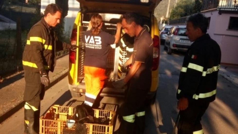 Crollo simulato di una scuola Misericordia in prima linea