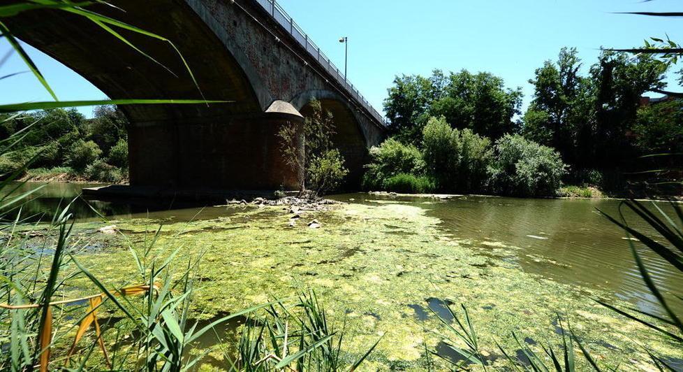 Mai così poca pioggia, falda in sofferenza 