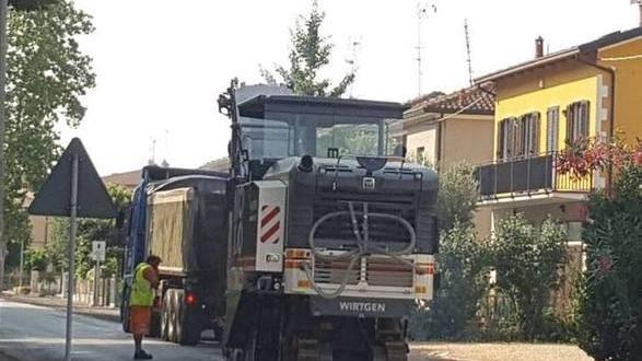 masi torello