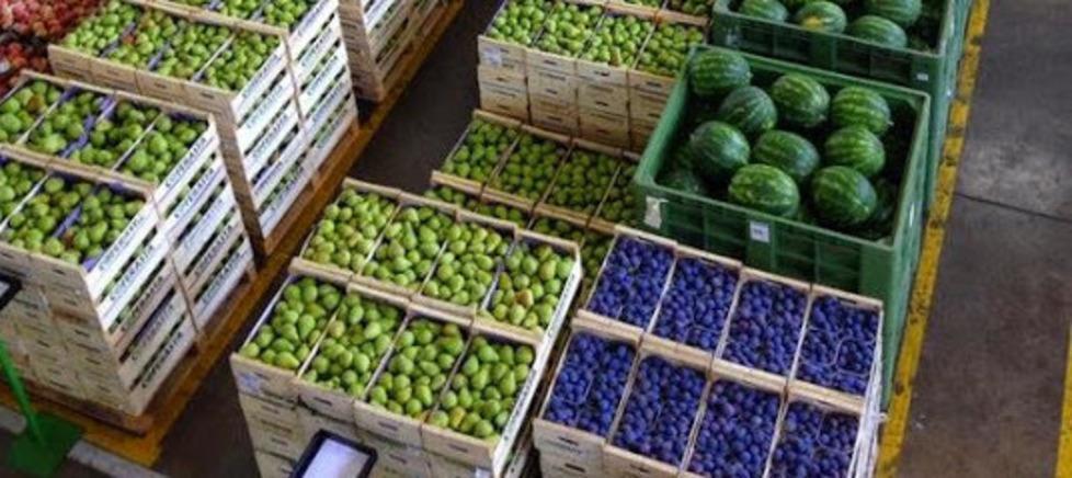 La frutta protagonista: c’è la festa 