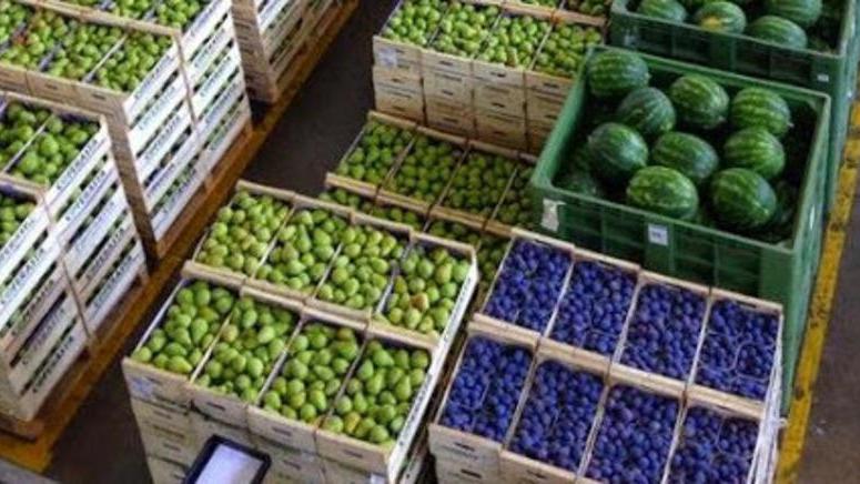 La frutta protagonista: c’è la festa