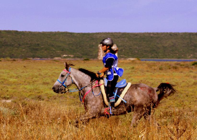 Endurance vuol dire “Sardegna Festival” 
