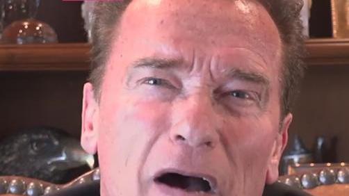 Macron riceve Schwarzenegger a Parigi