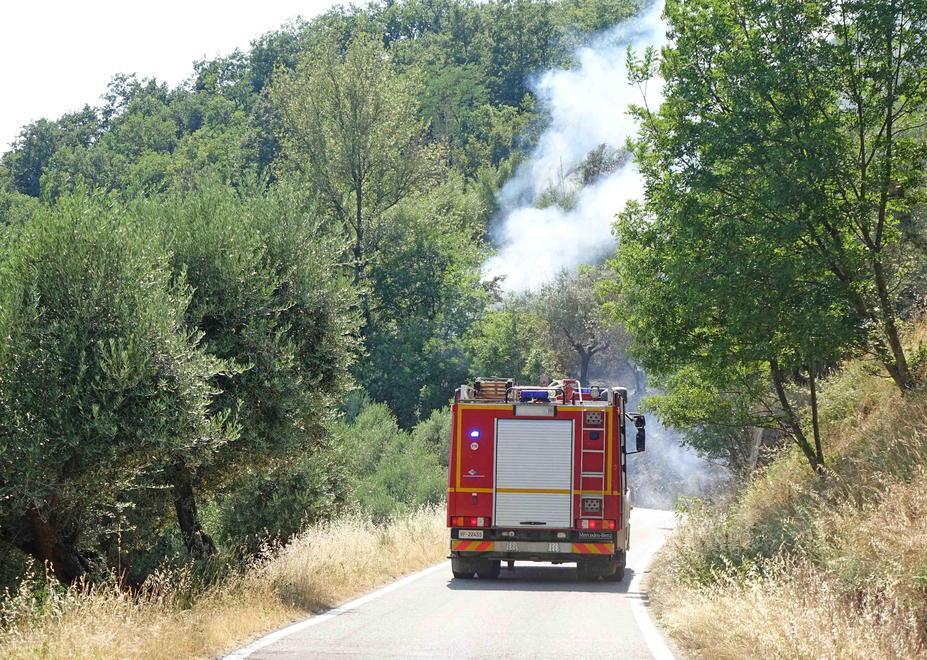 Incendi di bosco, è allarme «Pochi mezzi e inadeguati» 
