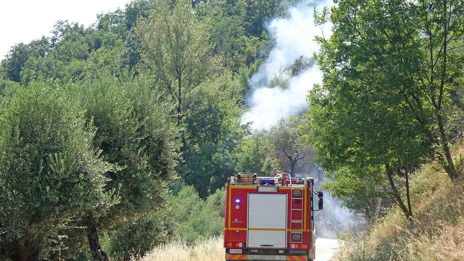 Incendi di bosco, è allarme «Pochi mezzi e inadeguati»