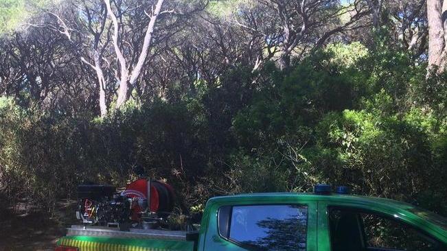 Presidio a Marina e Principina? «C’è La Racchetta»