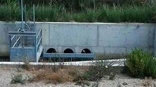 Il giallo degli orti zuppi «È stato risolto». Anzi, no