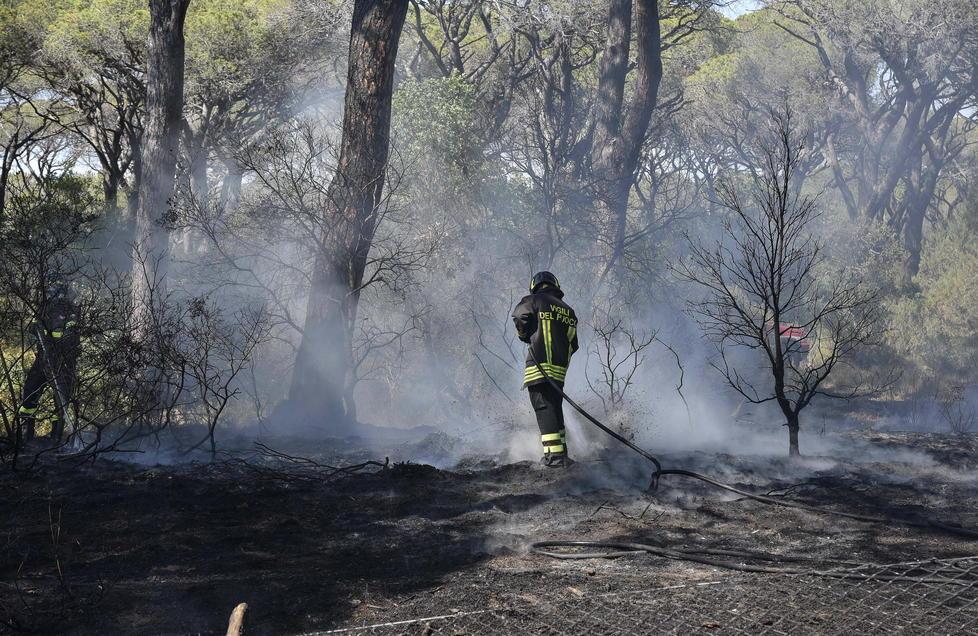 Telecamere puntate sugli incendi 