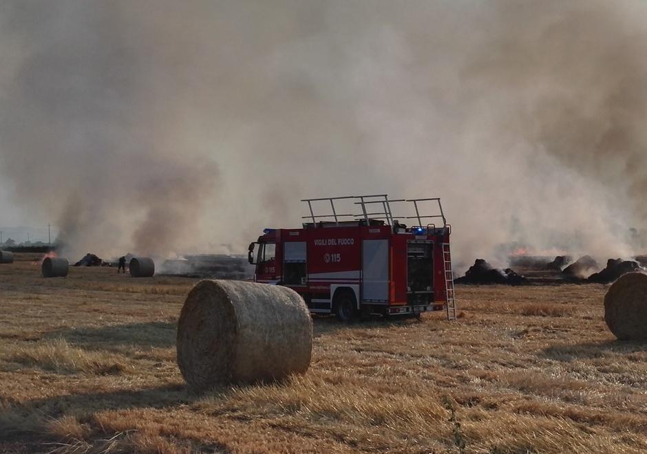 Rogo a Formigine distrugge rotoballe e pezzi di vigna