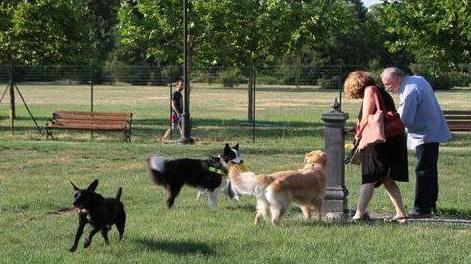 Inaugurata la nuova area cani