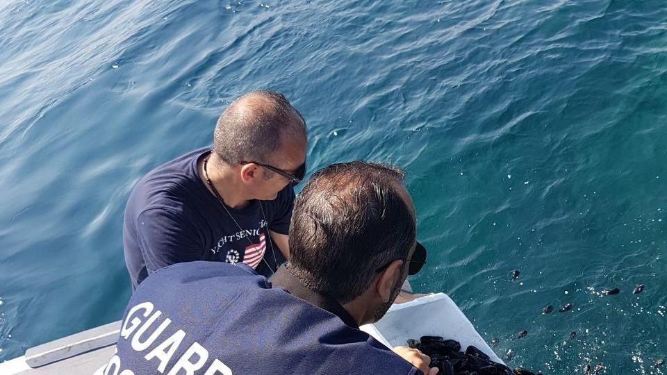 Guardia Costiera in azione