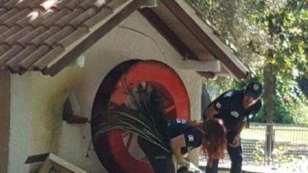 Ecoclub ed Oipa in gara per gestire il laghetto dei cigni