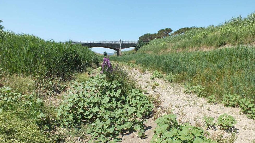 Pomodori e ulivi sono già a rischio