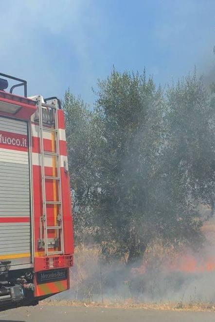  Distrutti dalle fiamme più di 2 ettari di grano 