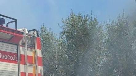 Distrutti dalle fiamme più di 2 ettari di grano