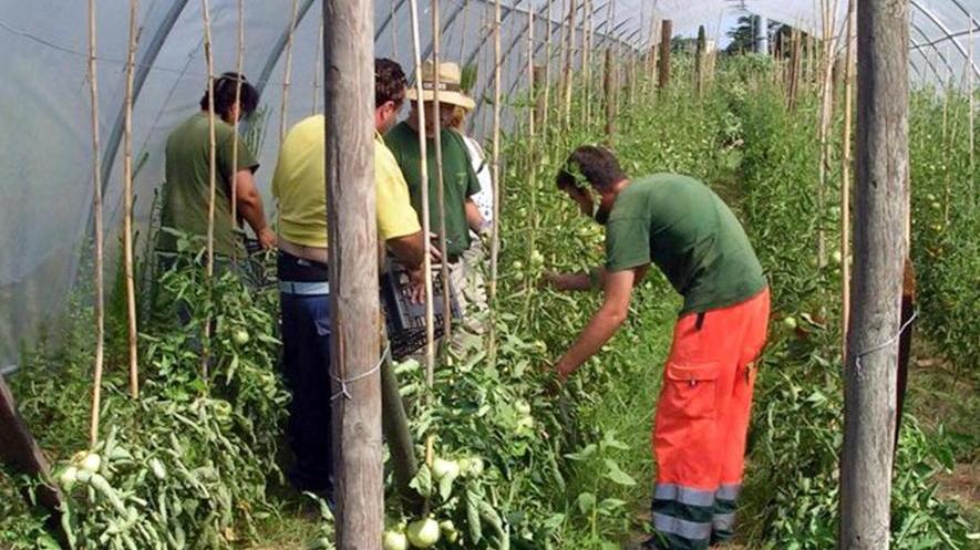 «Siamo svantaggiati, serve l’agevolazione»