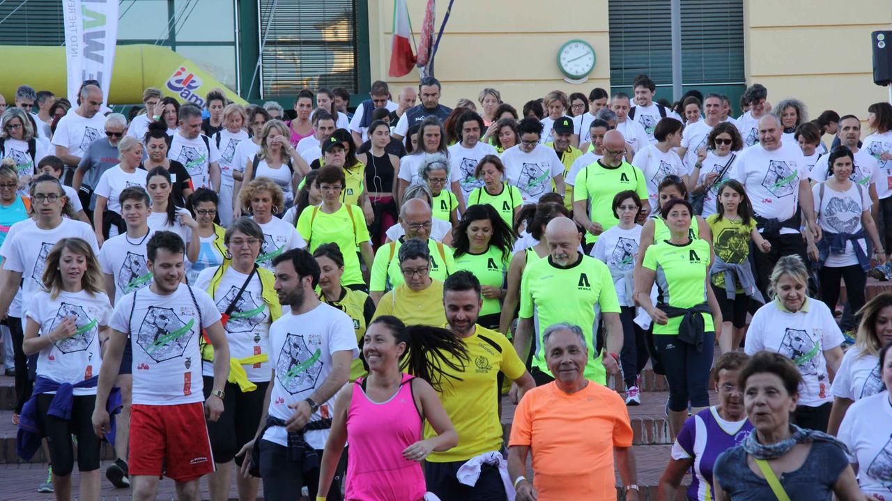 La corsa in notturna, edizione 2016 (foto Batvia)