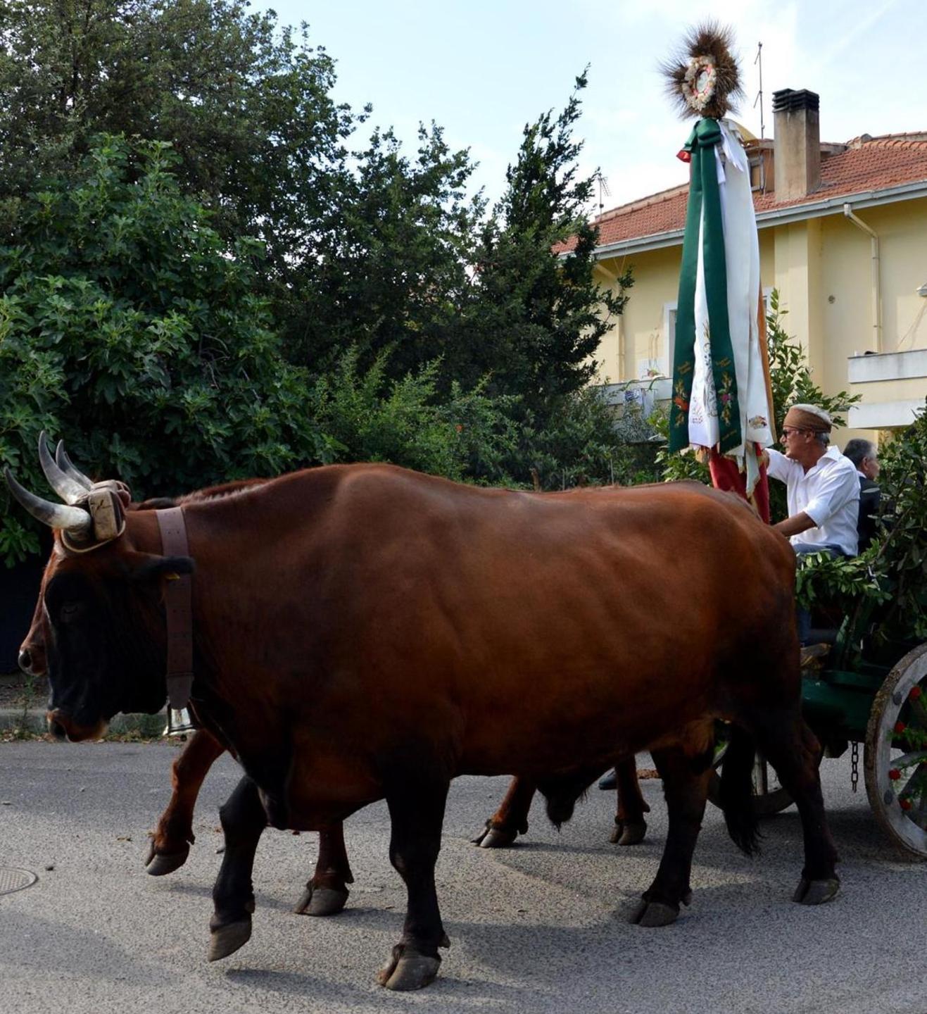 Marco Pessini nuovo majorale del gremio dei contadini