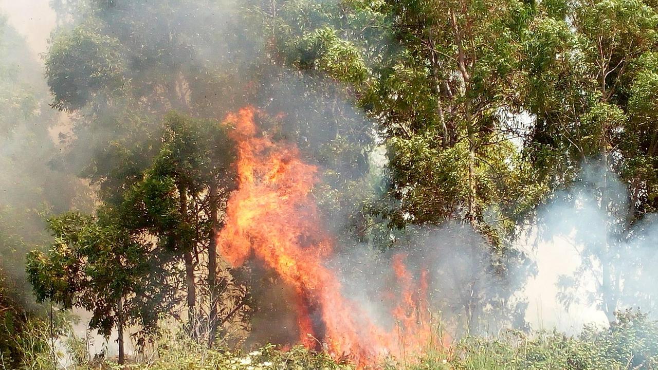 L'incendio di Riola