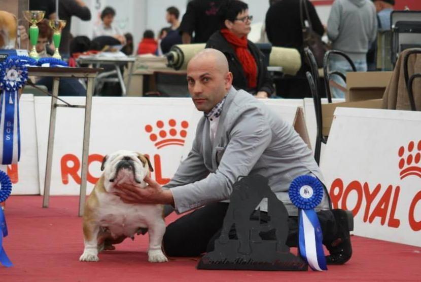 Addio a Kirish in the Sky, la campionessa bulldog 