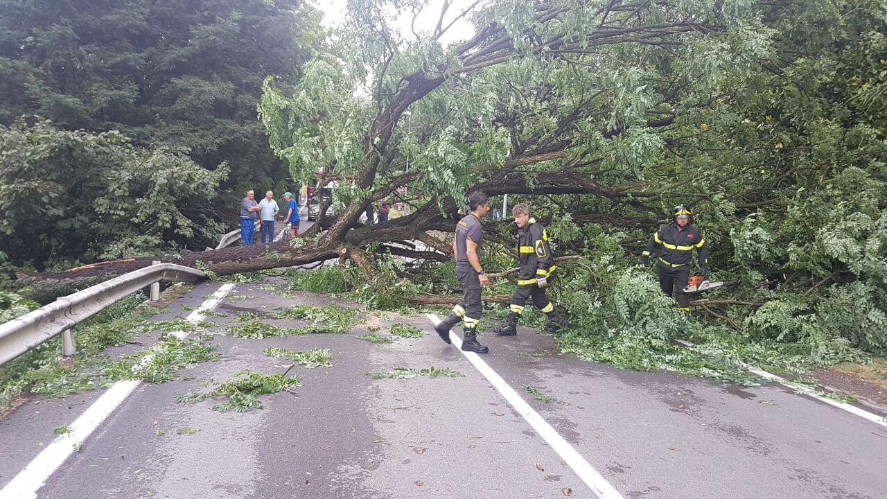 Fiorano. Tromba d'aria: stalla crolla sugli animali, un edificio scoperchiato