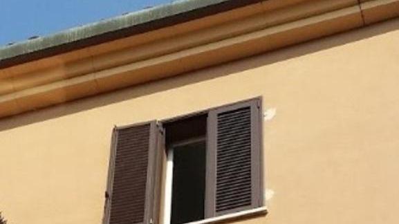 Atteso oggi l’incarico per l’autopsia
