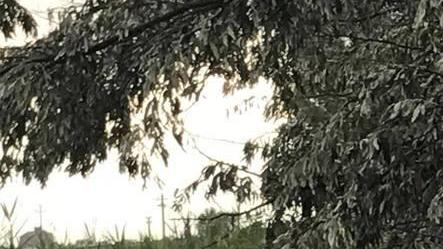 Strade chiuse e danni alle linee elettriche e telefoniche