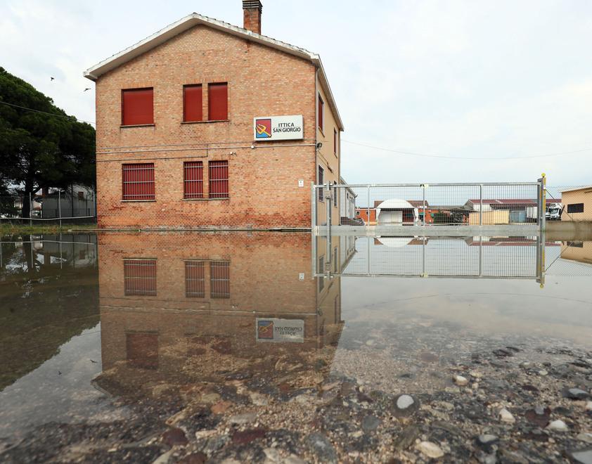 Alberi caduti e allagamenti Disagi a Goro 