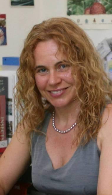 «Ecco le mosche soldato che producono plastica»  