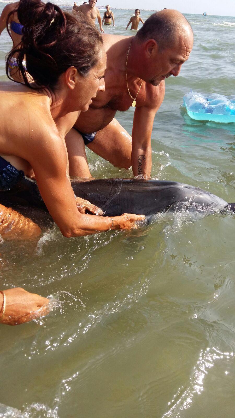 Simona Sechi e Luca Mattei mentre aiutano il delfino nel mare di Tirrenia 