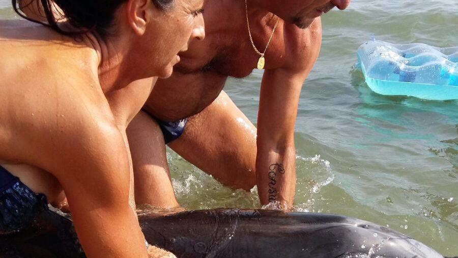 Simona Sechi e Luca Mattei mentre aiutano il delfino nel mare di Tirrenia