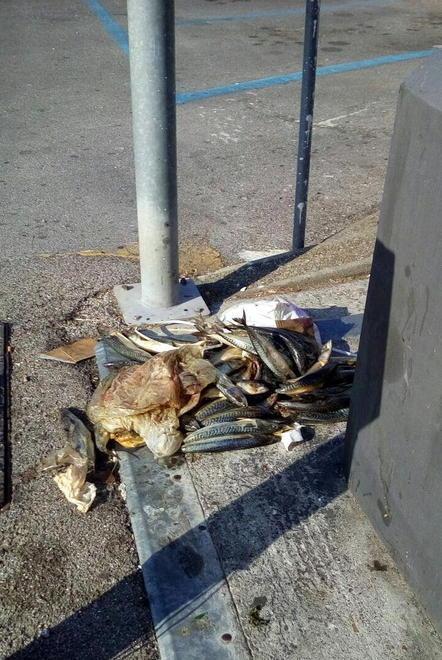 Protesta per dei pesci marci  gettati a terra in via Marruota