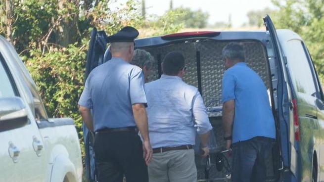 Muore a 19 anni travolto da un albero