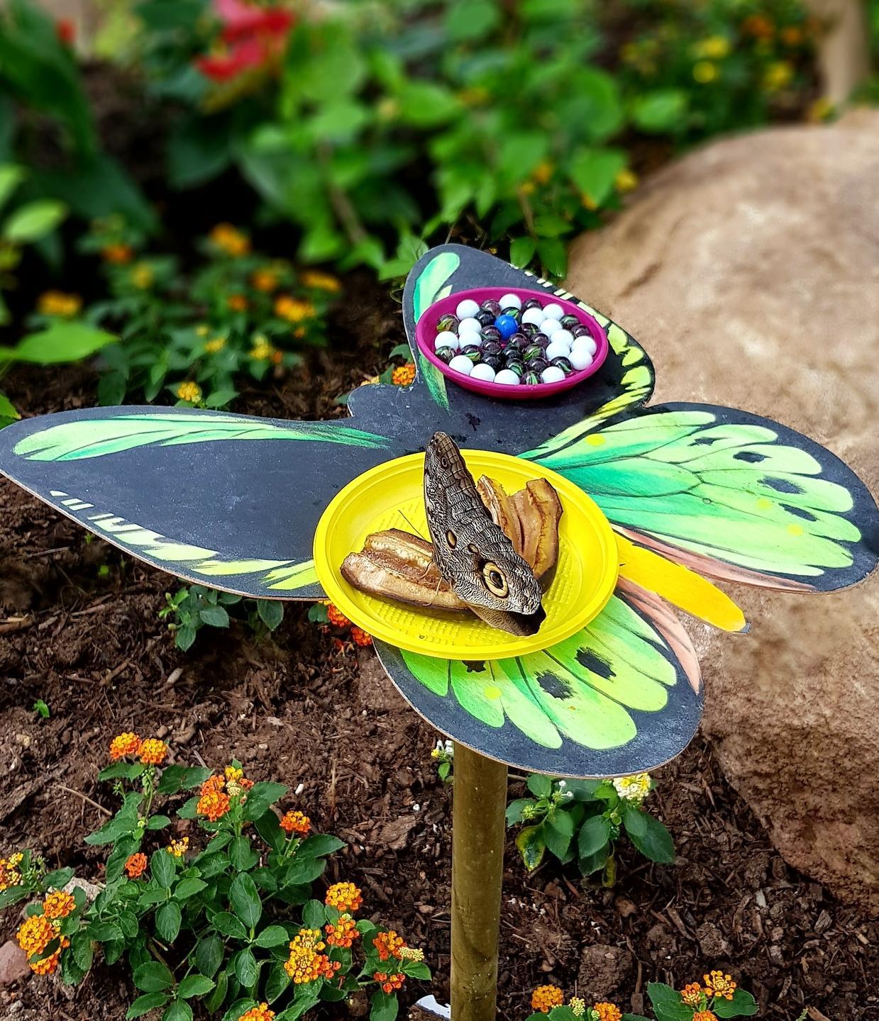 Idea che coinvolge un intero territorio 