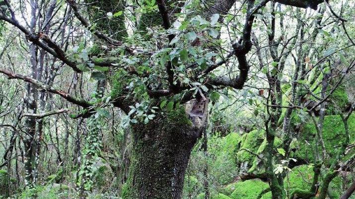 Confronto su “Noi e il monte Ortobene”
