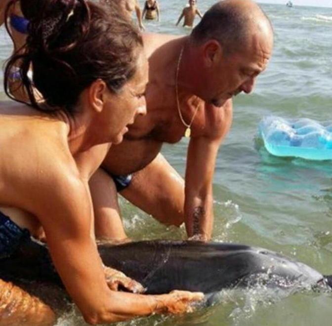 Cucciolo di delfino salvato a Calambrone