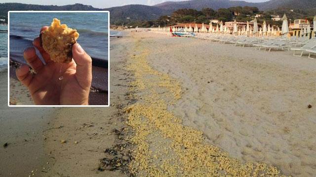 La schiuma gialla sulla spiaggia di Procchio